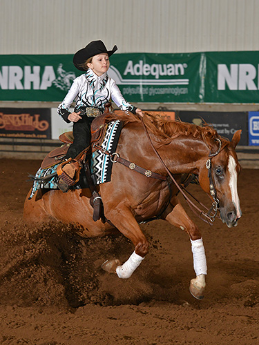 nrha reining patterns 2009