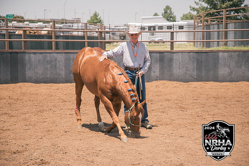 Behind the Slide – Rob Pearce