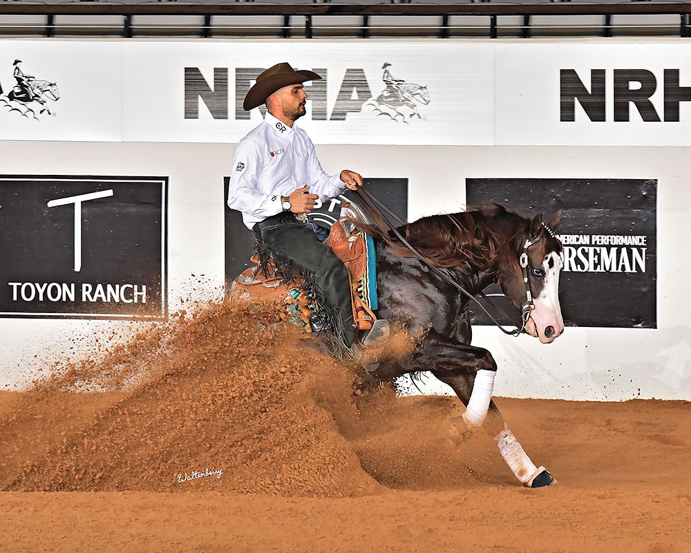 Behind the Slide — Sibling Rivalry