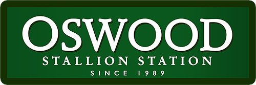 Oswood Stallion Station