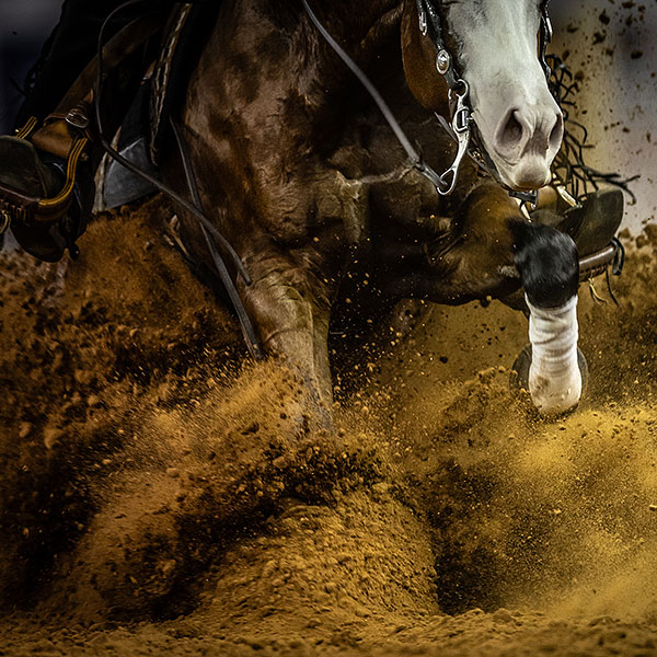 Close-up action shot of a horse performing a sliding stop, kicking up dirt.