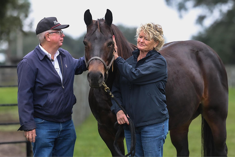 Peter and Courtney Morgan Join NRHA Million Dollar Owner Ranks - News article thumbnail