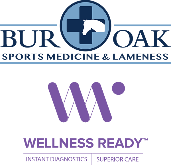Bur Oak