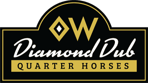 Diamond Dub Quarter Horses