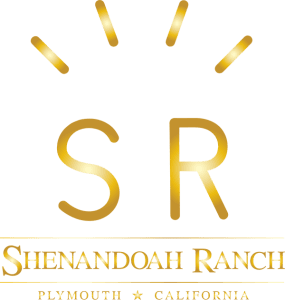 Shenandoah Ranch